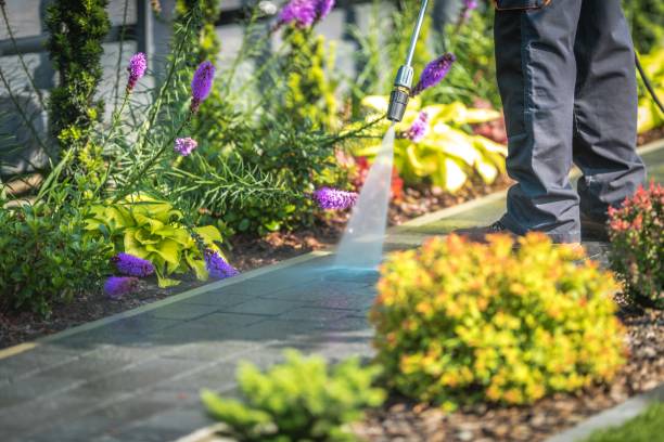 Best Animal Enclosure Cleaning  in Centreville, VA